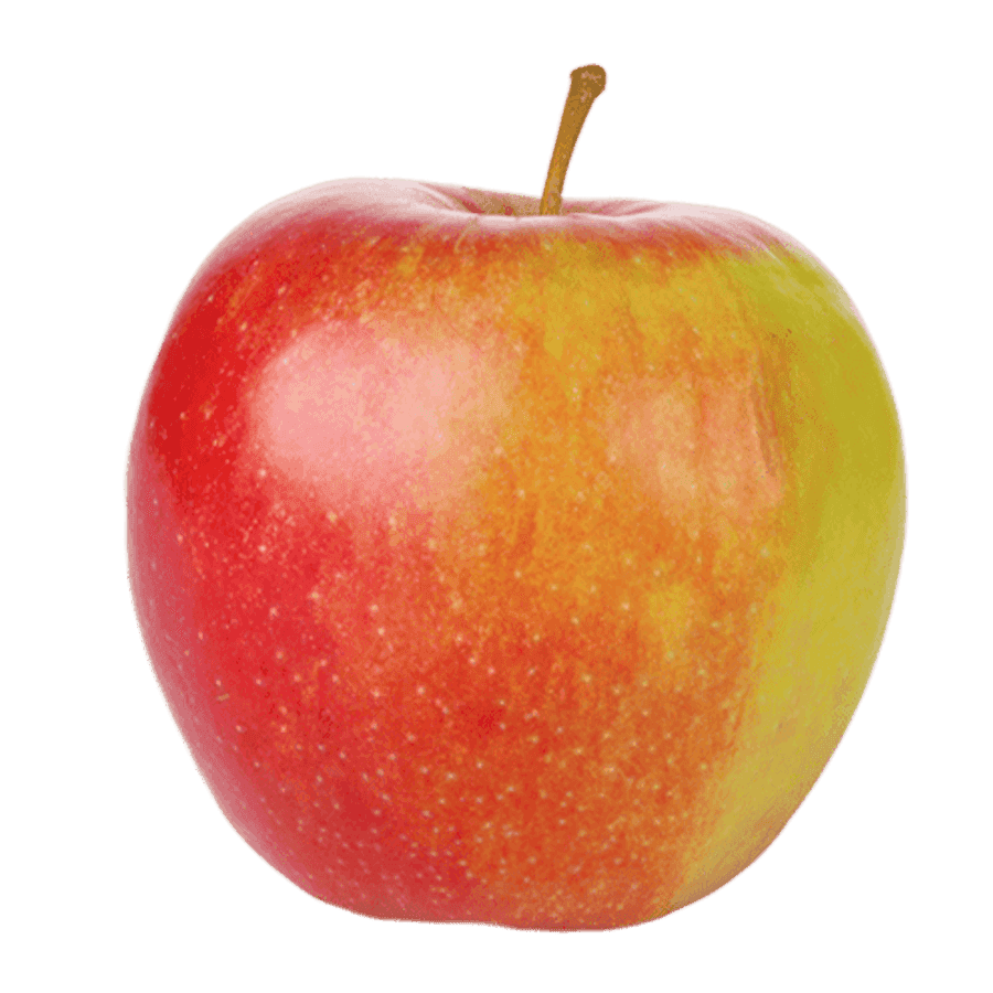 Apple Braeburn Janagold
