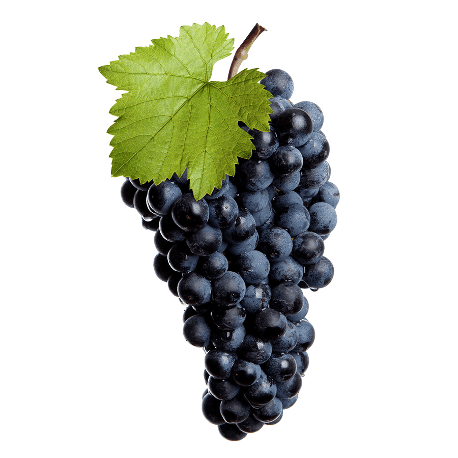 Grape Black Basket