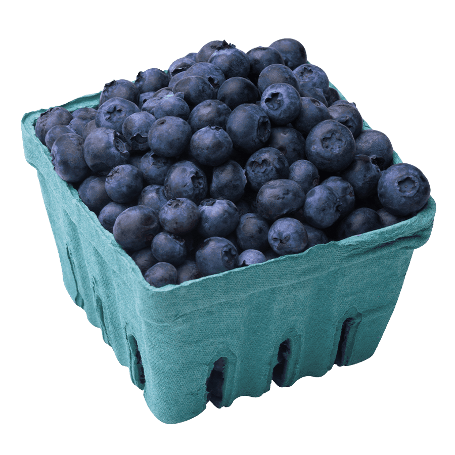 Blueberry Pack