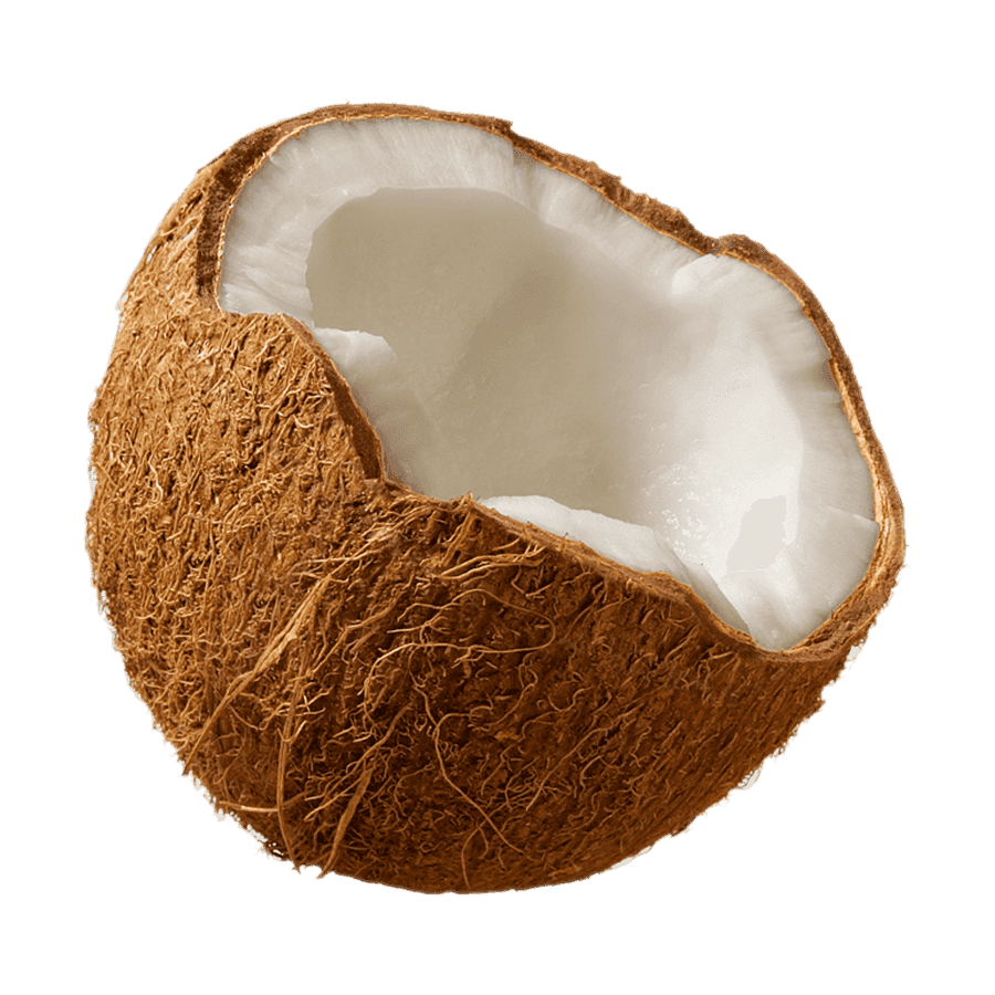 Coconut