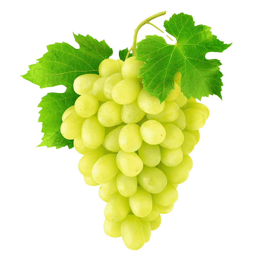 Grape Sultana