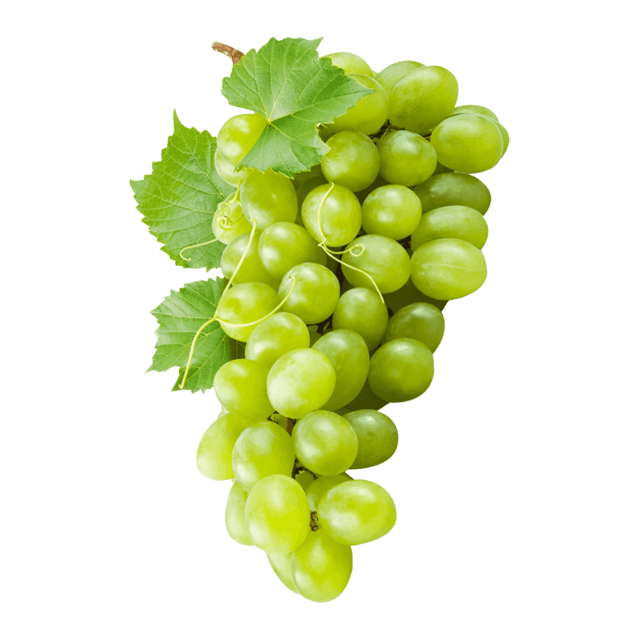 Grape White