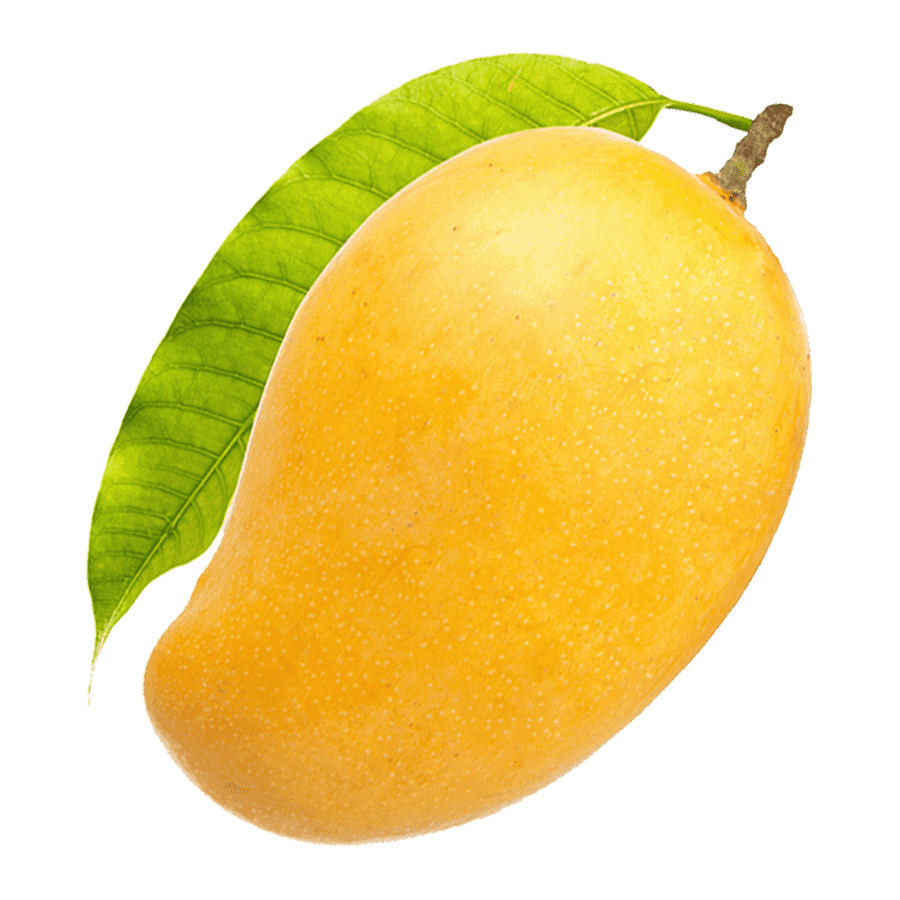 Mango Indian (Honey)