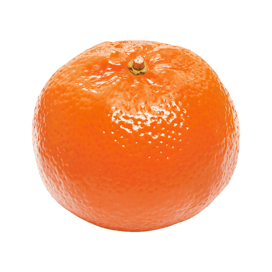 Nadarcott