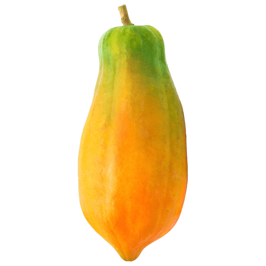 Papaya Big