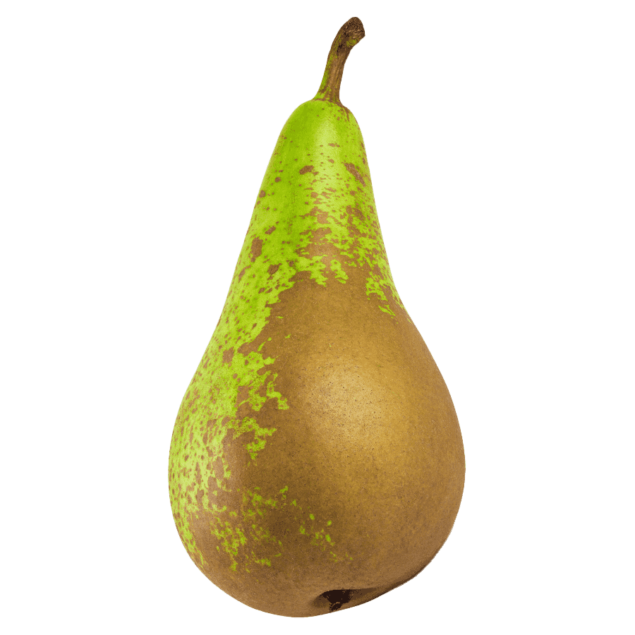 Pear Conference