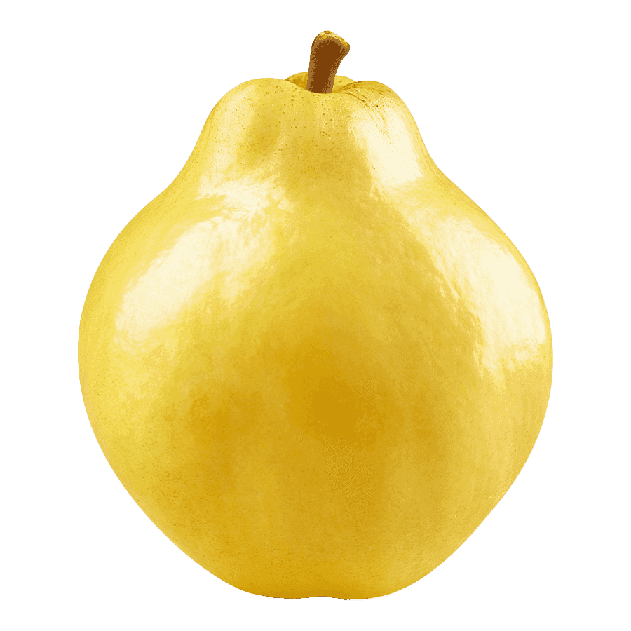 Quince