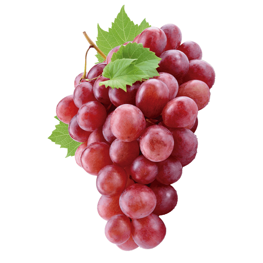 Grape Red