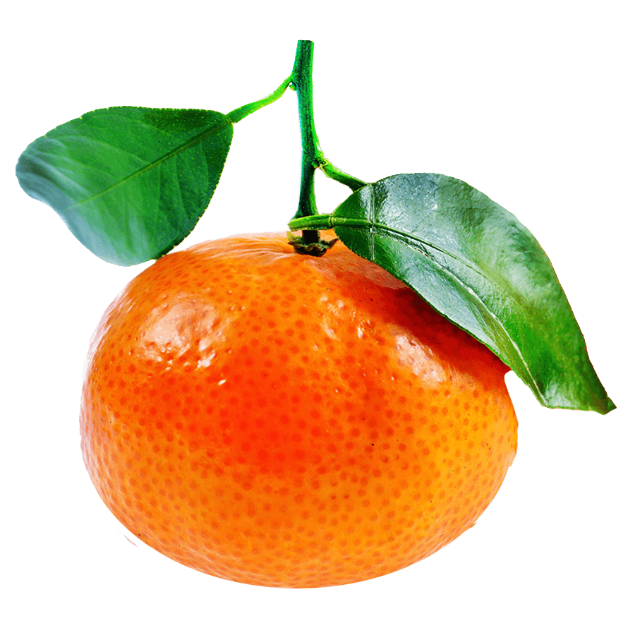 Satsuma