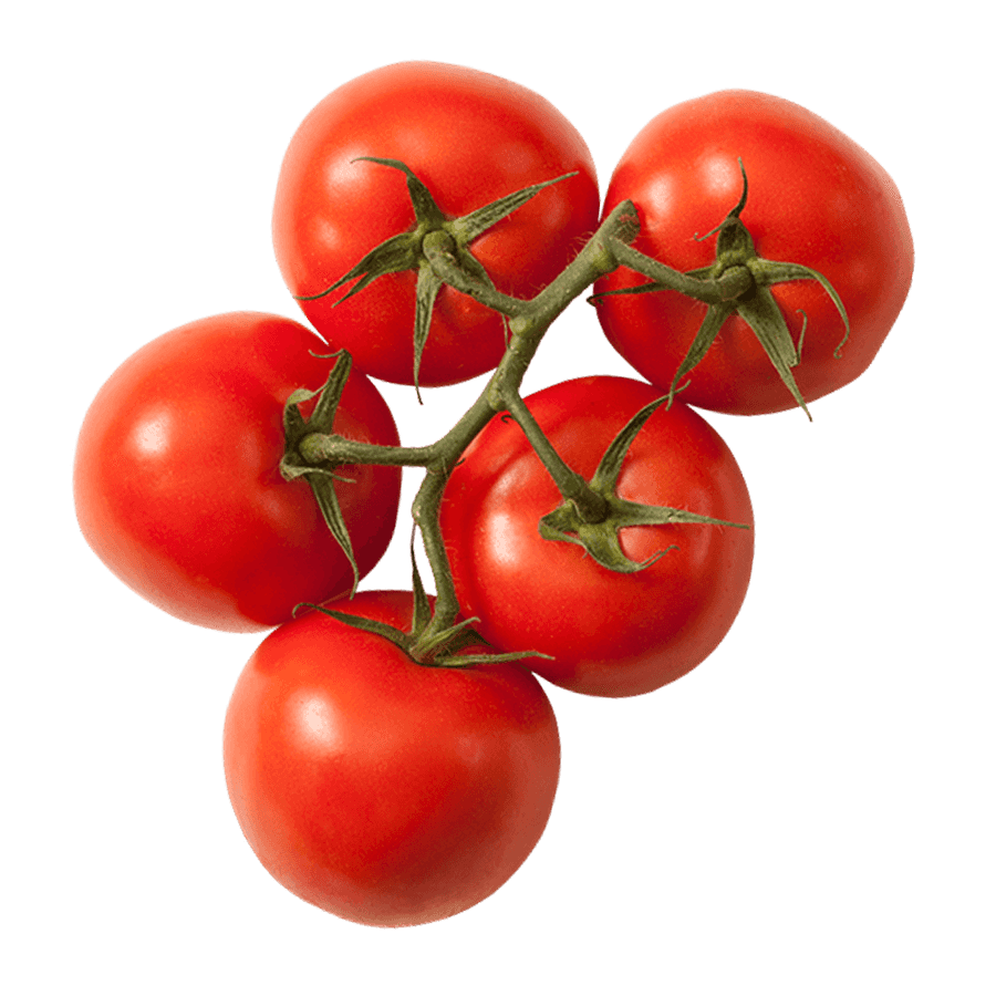 Tomatoes Vine