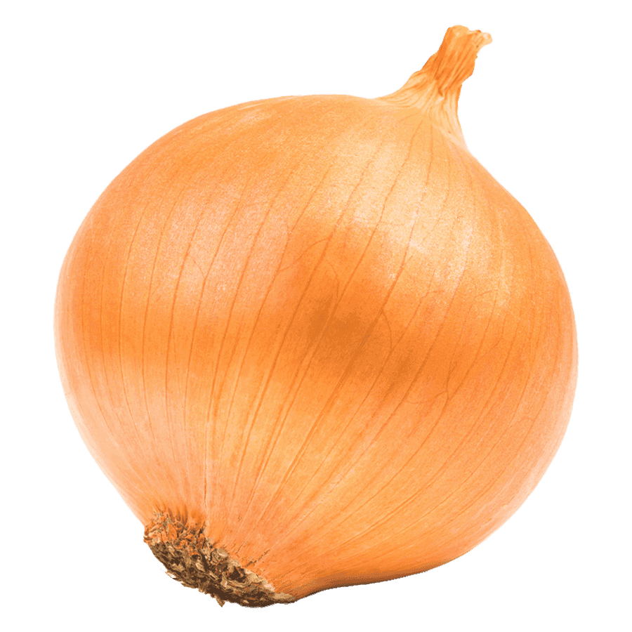Onion White