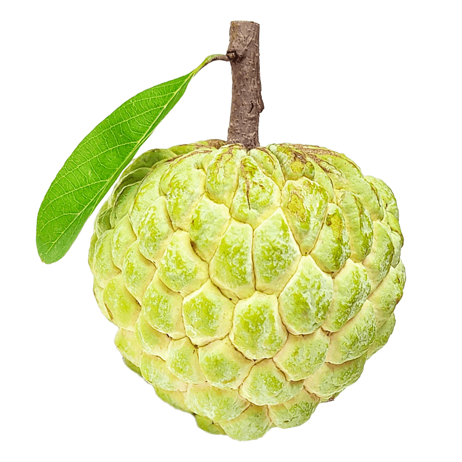 Apple Custard Image