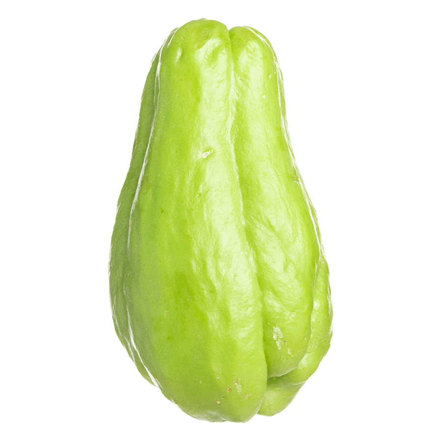 Chow Chow Image