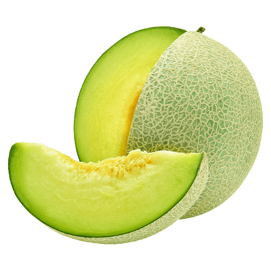 Melon Galia Image