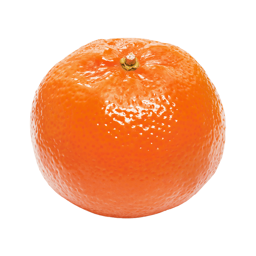 Nadarcott Image